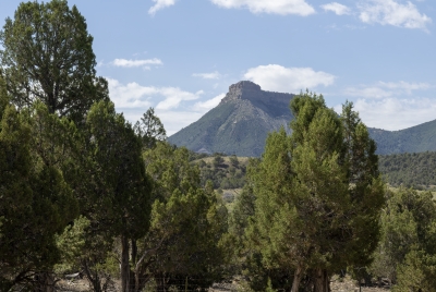 Cortez Colorado June 2025